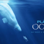 Promítání filmu A Plastic Ocean spojené s besedou, 20. 2.